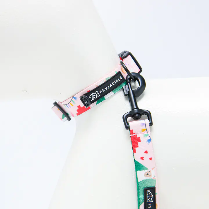 Dog or cat collar "No drama lama"  - Master