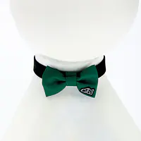 Muszka "Zzielenieją z zazdrości" - Master