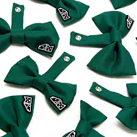 Muszka "Zzielenieją z zazdrości" - Master