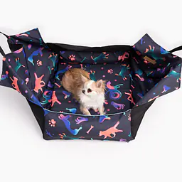 Fotelik samochodowy na przednią lub tylną kanapę - Master