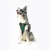 WYPRZEDAŻ Szelki bezuciskowe dla psa lub kota "Welcome to the jungle" - Master