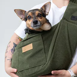 Dog or cat carrier - pattern: Rachel Green