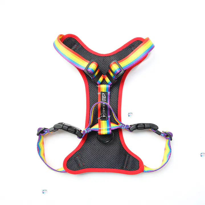 "Love, Equality, Teethers" pressure-free harness - Master