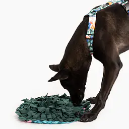 Mata węchowa - zabawka nosework 3 w 1 - Master