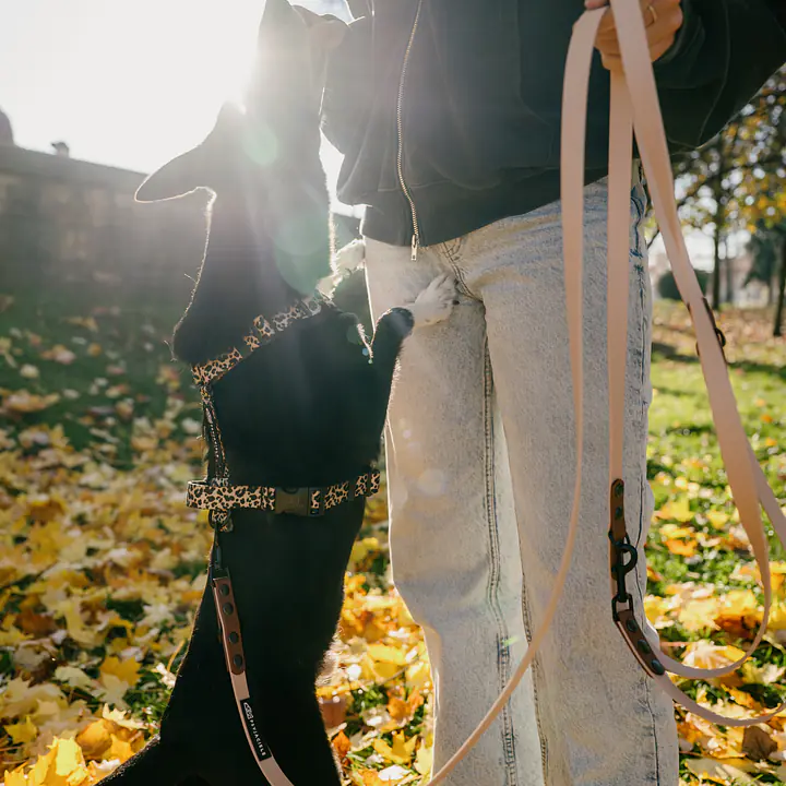 Smycz przepinana Biothane® - Master