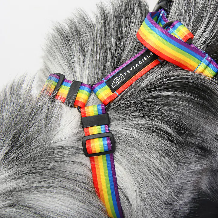 "Love, Equality, Teethers" pressure-free harness - Master