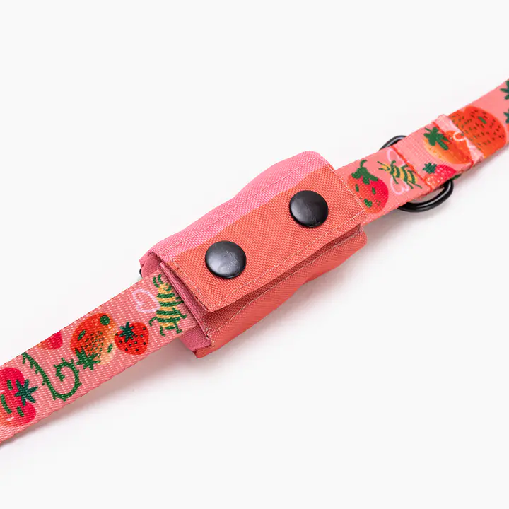 Etui na kupoworki - Master