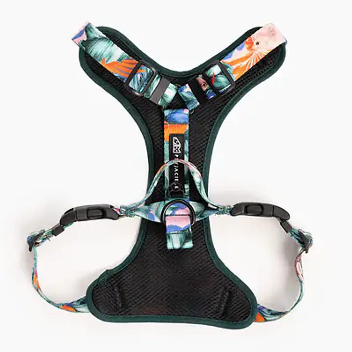 WYPRZEDAŻ Szelki bezuciskowe dla psa lub kota "Mokry sen kury" - Master