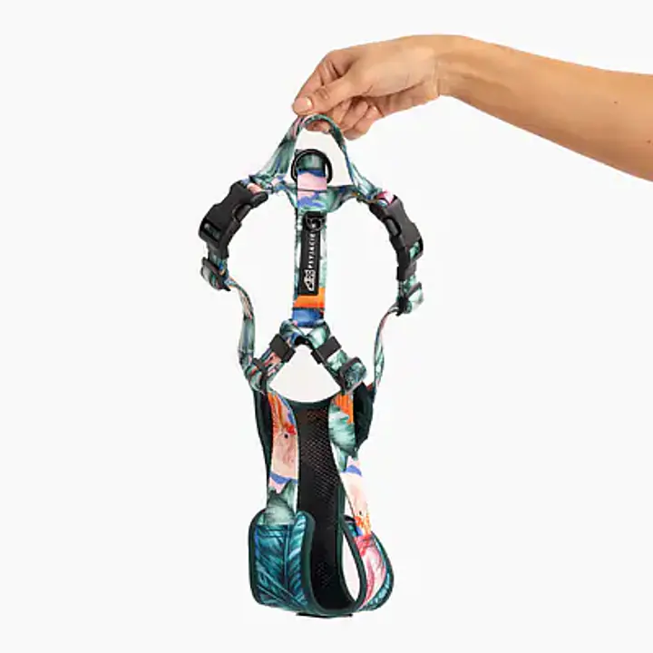 WYPRZEDAŻ Szelki bezuciskowe dla psa lub kota "Mokry sen kury" - Master