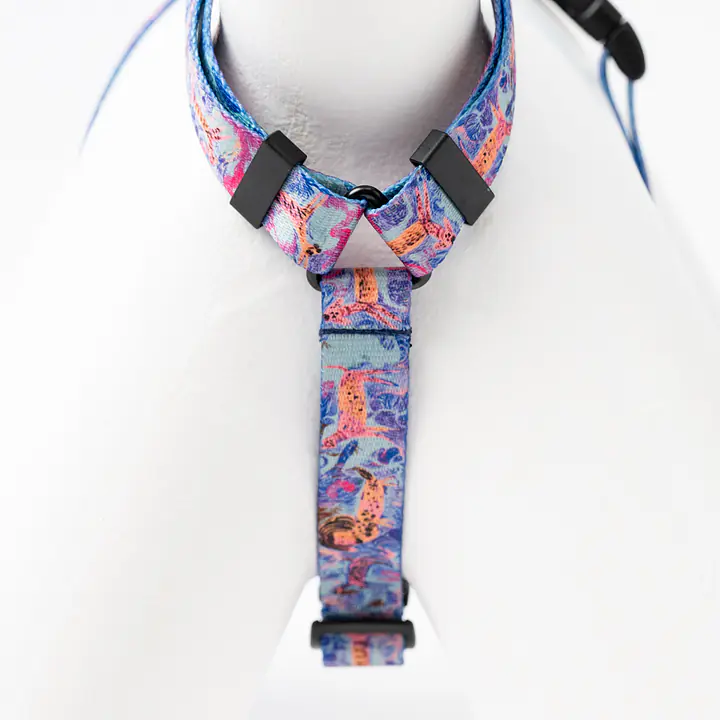 WYPRZEDAŻ Szelki dla psa lub kota typu guard "Psychofanka" - Master