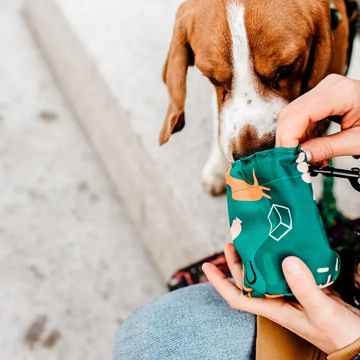 Mini training sachet for snacks "Sleepy dogs" - Master