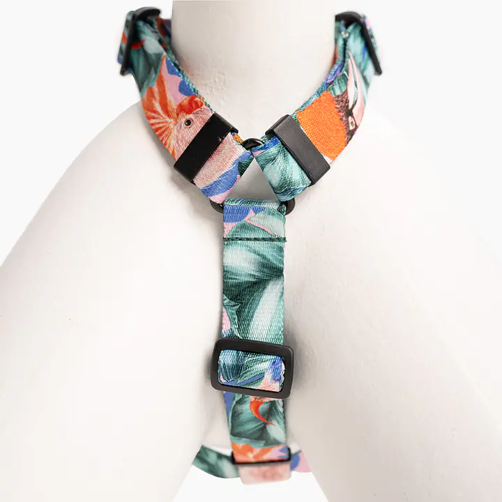 WYPRZEDAŻ Szelki dla psa lub kota typu guard "Mokry sen kury" - Master