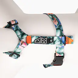 WYPRZEDAŻ Szelki dla psa lub kota typu guard "Mokry sen kury" - Master