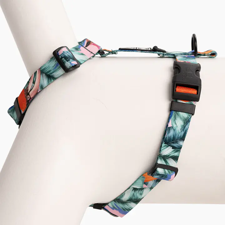 WYPRZEDAŻ Szelki dla psa lub kota typu guard "Mokry sen kury" - Master