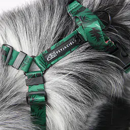 WYPRZEDAŻ Szelki bezuciskowe dla psa lub kota "Welcome to the jungle" - Master