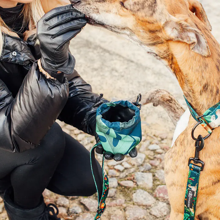 Mini saszetka na smaczki "Psikolaż" - Master