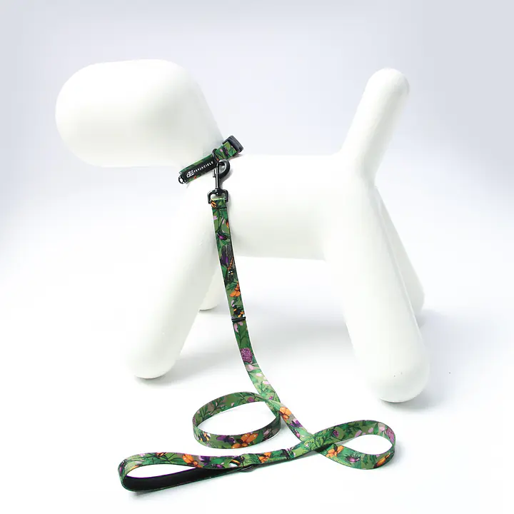 Dog or cat collar "Bug off" - Master