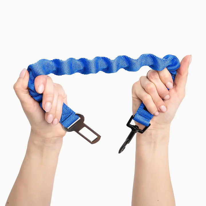 20 mm Pas samochodowy z amortyzatorem dla małego psa i kota - Master