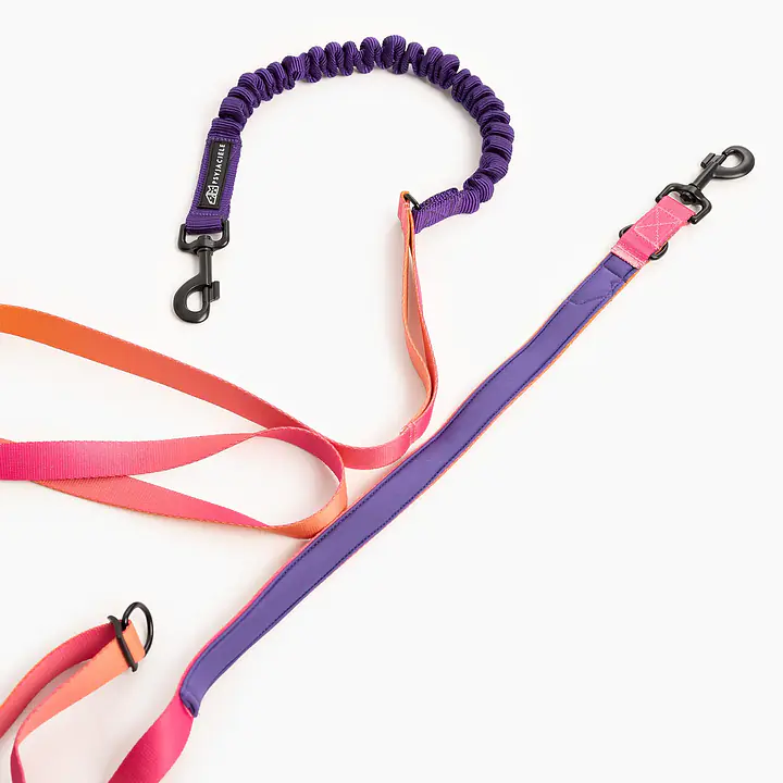 Smycz hands free 25mm dla średnich i dużych psów - Master