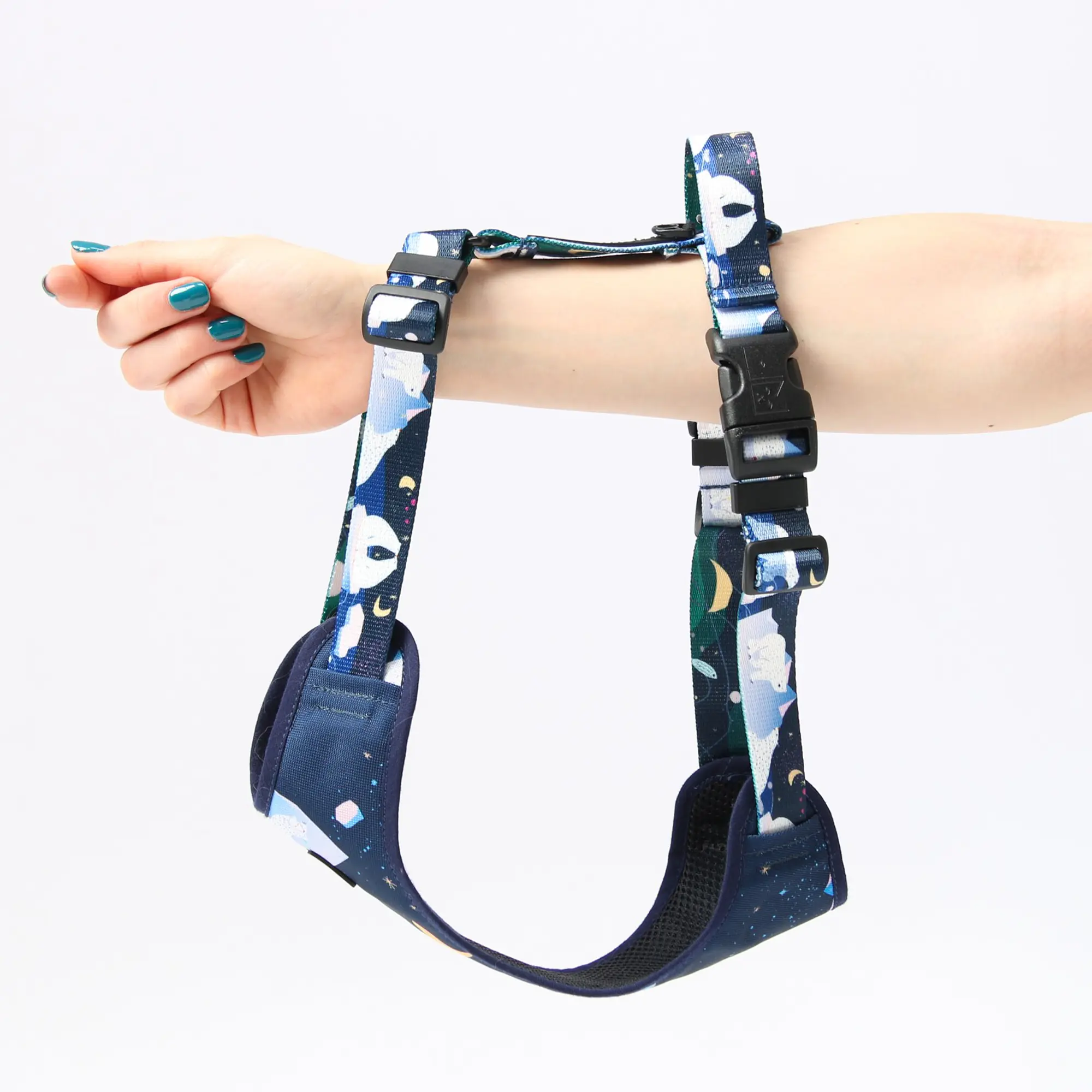 "Polar pattern" pressure-free harness - Master