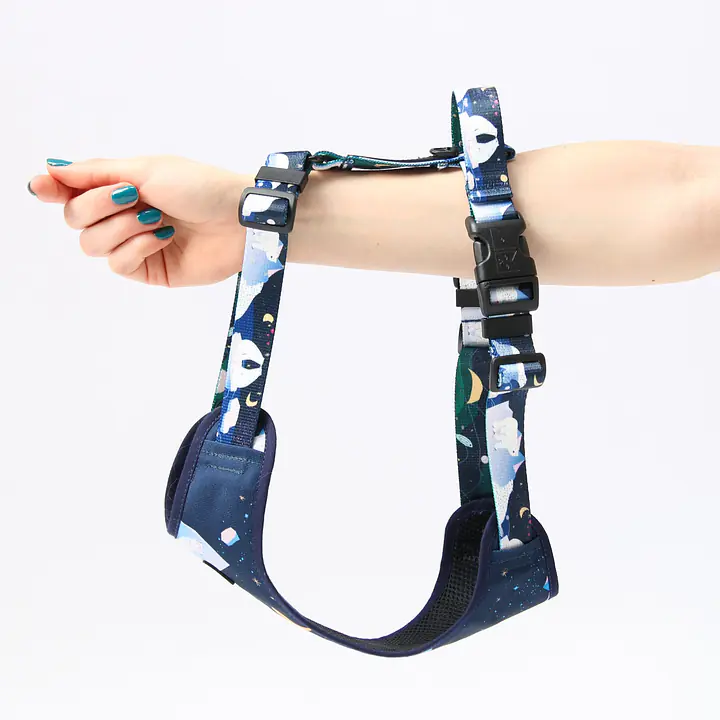 "Polar pattern" pressure-free harness - Master