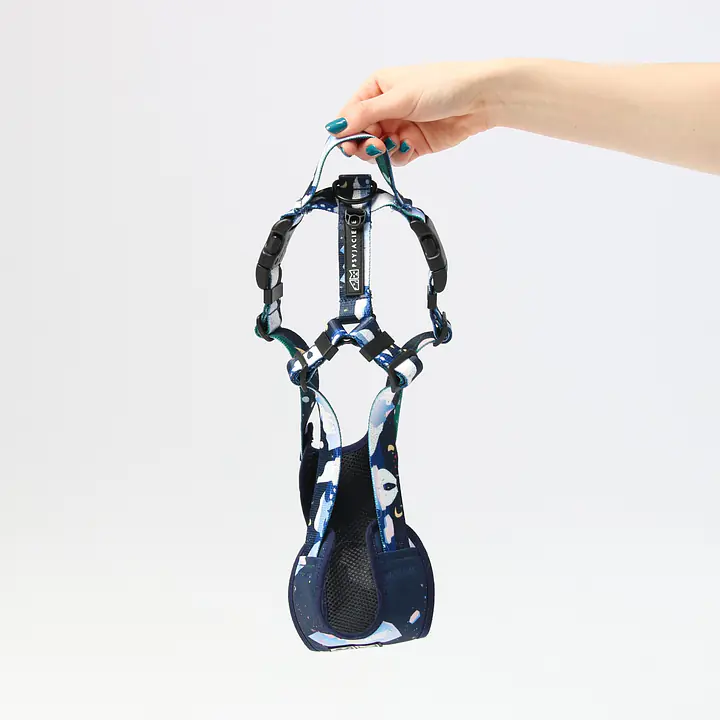 "Polar pattern" pressure-free harness - Master