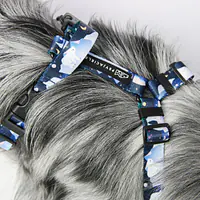 "Polar pattern" pressure-free harness - Master