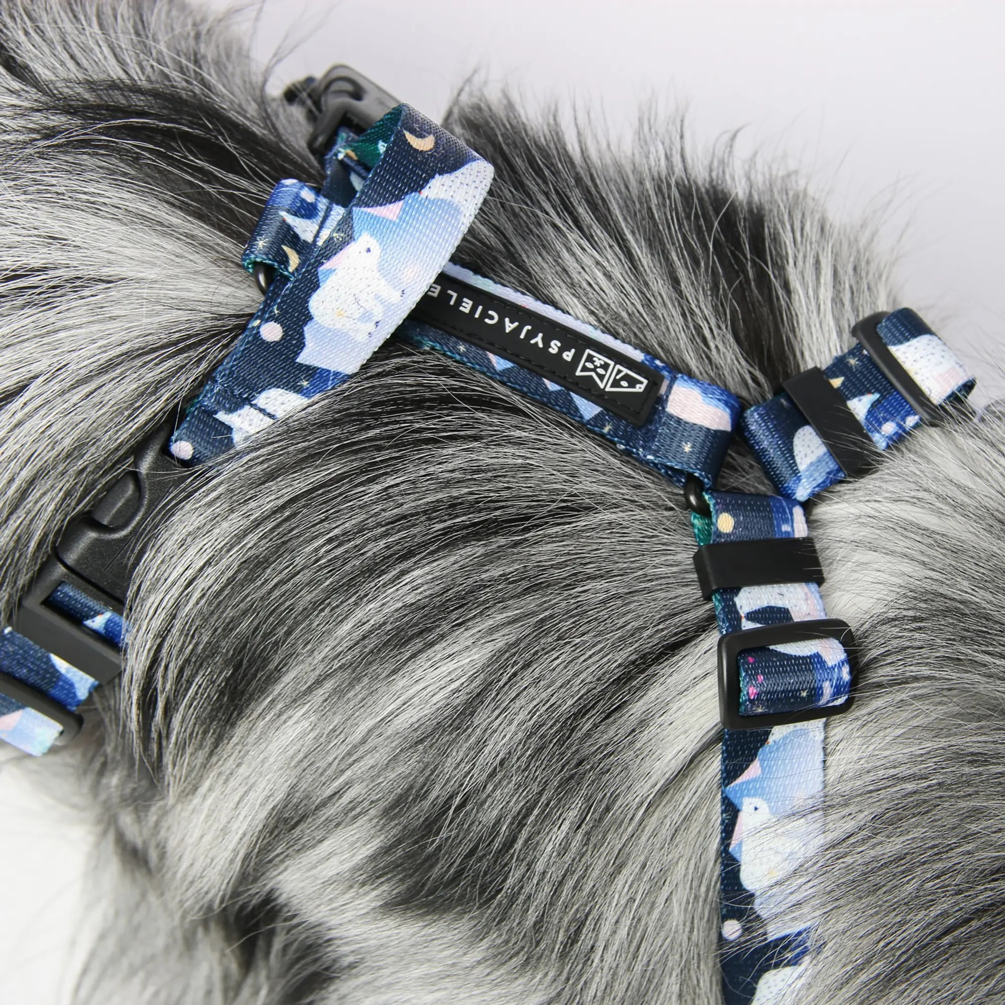 "Polar pattern" pressure-free harness - Master