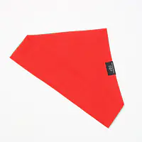 Bandanka "Zawstydzona biel" na obrożę - Master