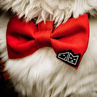 Bow tie "Red as a beet" - Master