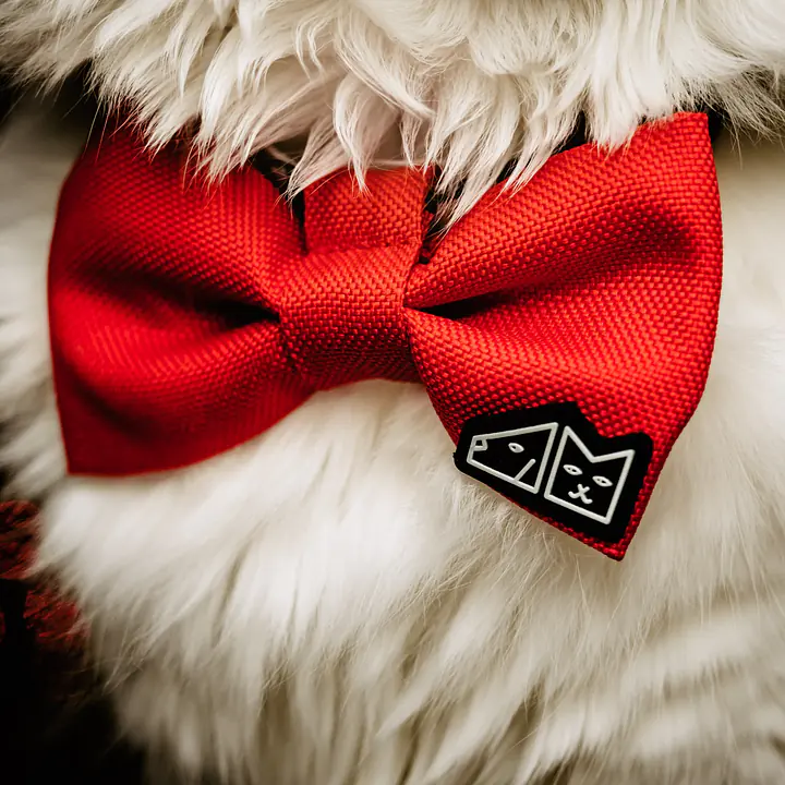 Bow tie "Red as a beet" - Master