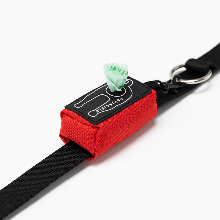 Etui na kupoworki "Zawstydzona biel" - Master