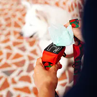 Etui na kupoworki "Zawstydzona biel" - Master