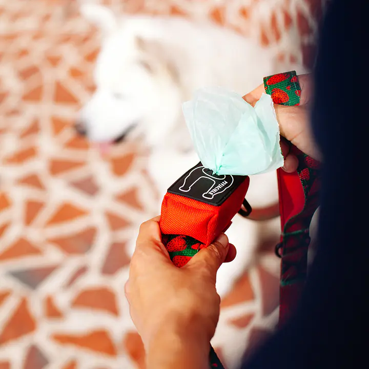 Etui na kupoworki "Zawstydzona biel" - Master