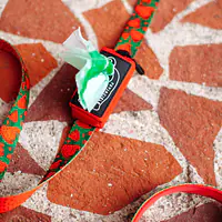 Etui na kupoworki "Zawstydzona biel" - Master