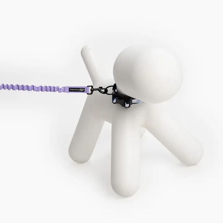 Amortyzator "Lilac AF" - Master