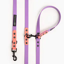 Smycz przepinana Biothane® - Size: M, Width: 16mm, and kolor taśmy: Lilac + Coral