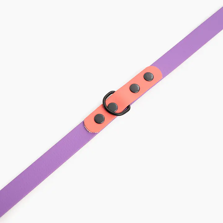 Smycz przepinana Biothane® - Size: M, Width: 16mm, and kolor taśmy: Lilac + Coral