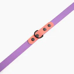 Smycz przepinana Biothane® - Size: M, Width: 16mm, and kolor taśmy: Lilac + Coral