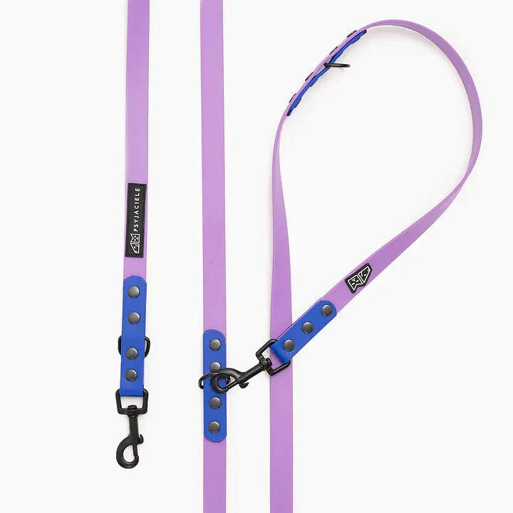 Smycz przepinana Biothane® - Size: M, Width: 19mm, and kolor taśmy: Lilac + Blue