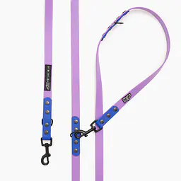 Smycz przepinana Biothane® - Size: M, Width: 19mm, and kolor taśmy: Lilac + Blue