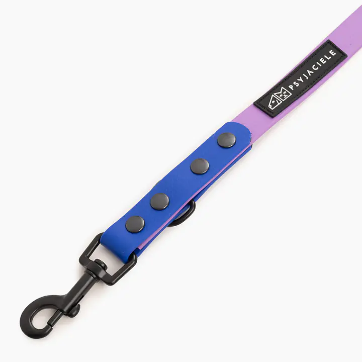 Smycz przepinana Biothane® - Size: M, Width: 19mm, and kolor taśmy: Lilac + Blue