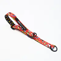 Obroża półzaciskowa dla psa lub kota "Pies, który lata najlepsze ma za sobą" - Master