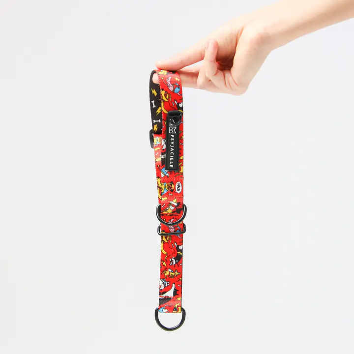 Obroża półzaciskowa dla psa lub kota "Pies, który lata najlepsze ma za sobą" - Master