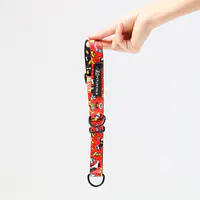 Obroża półzaciskowa dla psa lub kota "Pies, który lata najlepsze ma za sobą" - Master