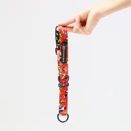 Obroża półzaciskowa dla psa lub kota "Pies, który lata najlepsze ma za sobą" - Master