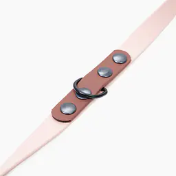 Smycz przepinana Biothane® - Size: M, Width: 16mm, and kolor taśmy: Beige + Brown