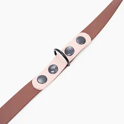 Smycz przepinana Biothane® - Size: L, Width: 19mm, and kolor taśmy: Brown + Beige