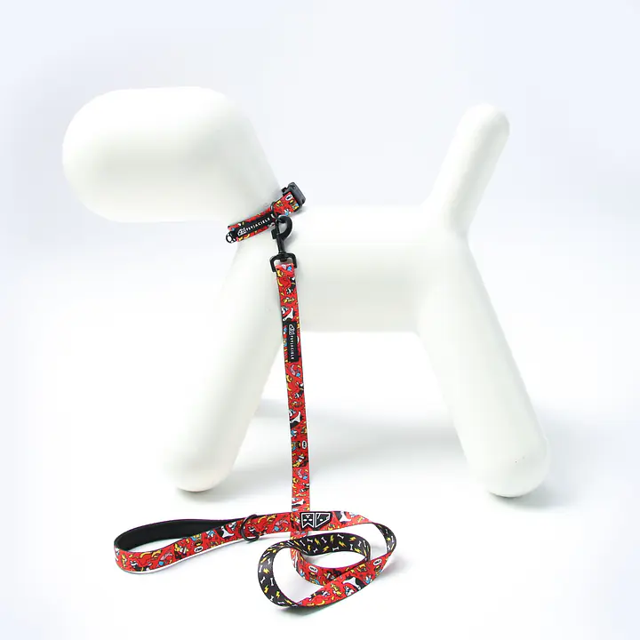 Obroża dla psa lub kota "Pies, który lata najlepsze ma za sobą" - Master