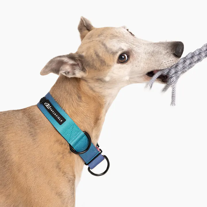 Rope toy "Lilac AF" - Master